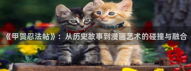 [汉化版]全彩漫画免费韩漫：《甲贺忍法帖》：从历史故事到漫画艺术的碰撞与融合