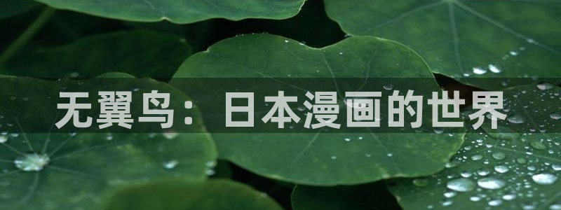 永久免费看韩漫：无翼鸟：日本漫画的世界